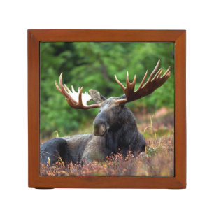 Moose Desk Organizer