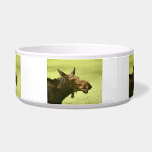 Moose Did Someone Say Cake Bowl