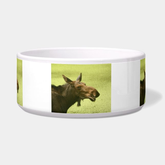 Moose Did Someone Say Cake Bowl (Front)
