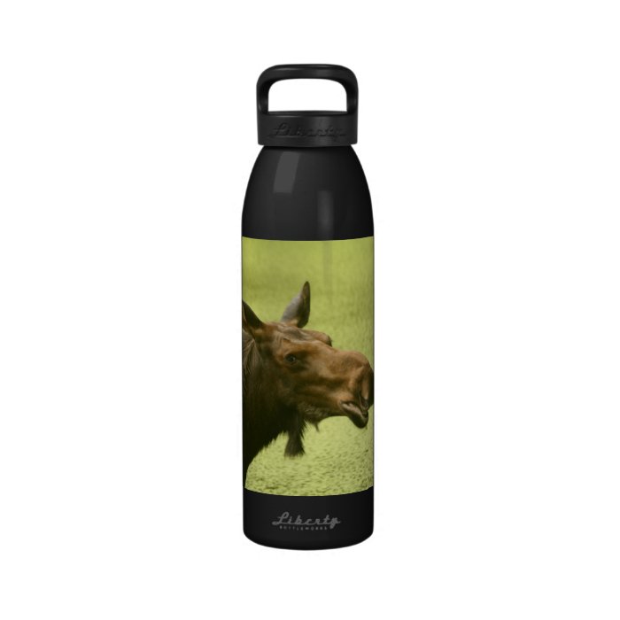 Moose Did Someone Say Cake Reusable Water Bottle