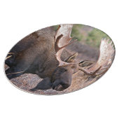 Moose Dinner Plate (Side)