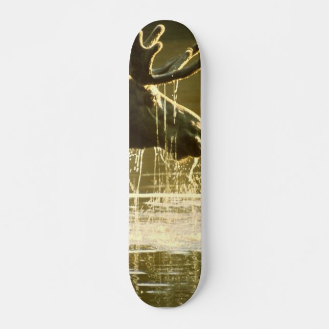 Moose Dipping His Head Into Water Skateboard Deck (Front)