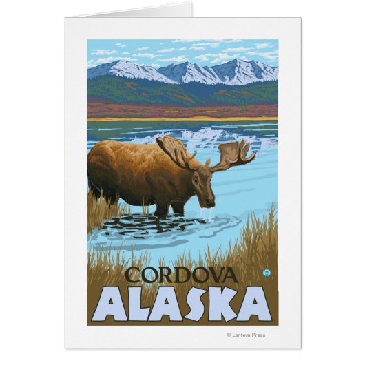 Moose Drinking at Lake - Cordova, Alaska Cards (Front)