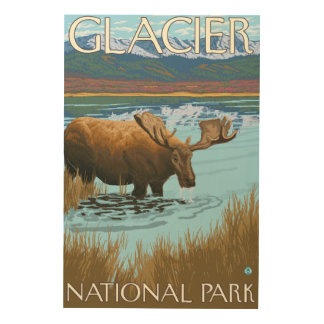 Moose Drinking at Lake - Glacier National Park, Wood Wall Art