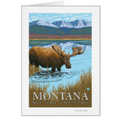 Moose Drinking at Lake - Montana (Front)