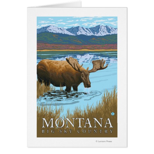 Moose Drinking at Lake - Montana Cards (Front)