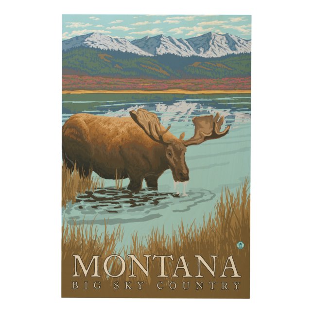 Moose Drinking at Lake - Montana Wood Wall Art (Front)
