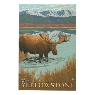 Moose Drinking at Lake - West Yellowstone, MT Wood Wall Art