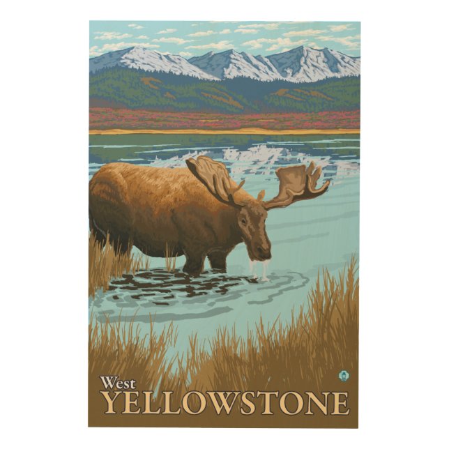Moose Drinking at Lake - West Yellowstone, MT Wood Wall Art (Front)