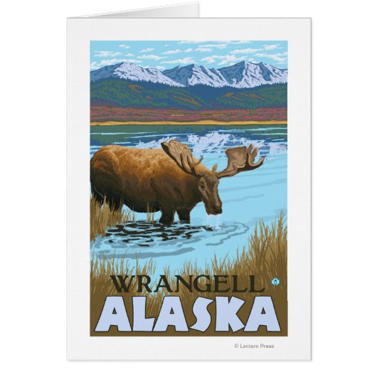 Moose Drinking at Lake - Wrangell, Alaska Cards (Front)