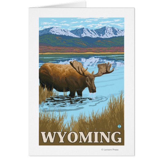 Moose Drinking at Lake - Wyoming Cards (Front)