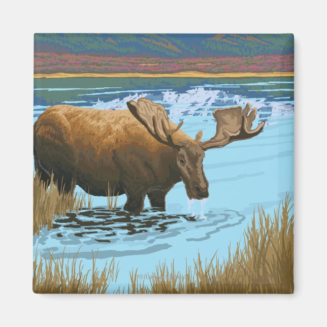 Moose Drinking at Lake - Yellowstone National Magnet (Front)