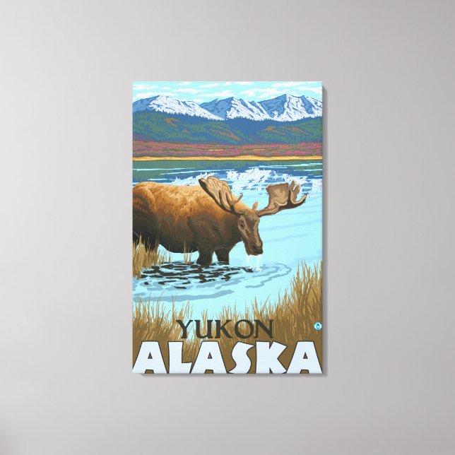 Moose Drinking at Lake - Yukon, Alaska Canvas Print (Front)