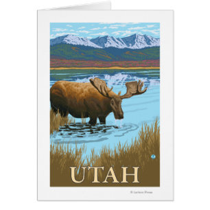 Moose DrinkingUtah Cards
