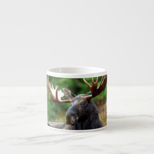 Moose Espresso Cup