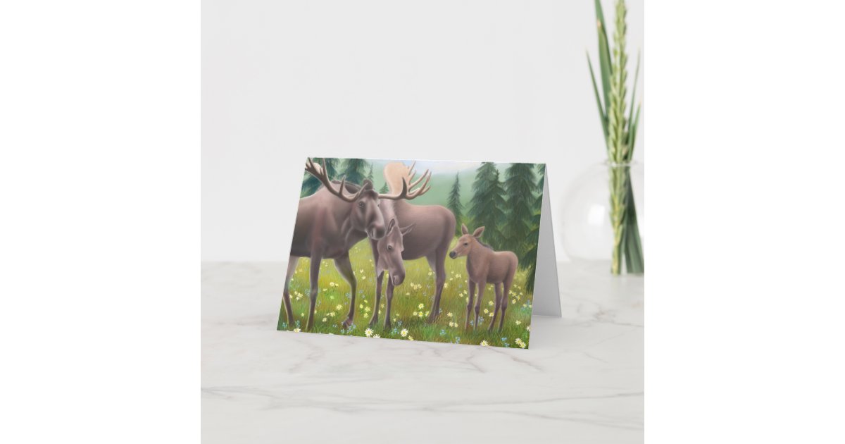 Moose Family Greeting Card | Zazzle