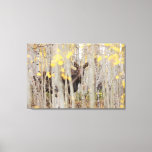 Moose Family in the Aspens Canvas Art