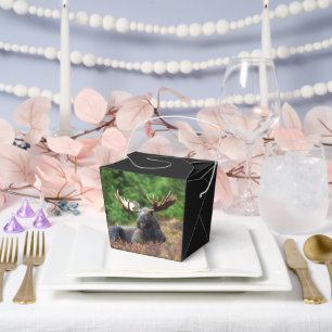 Moose Favor Boxes