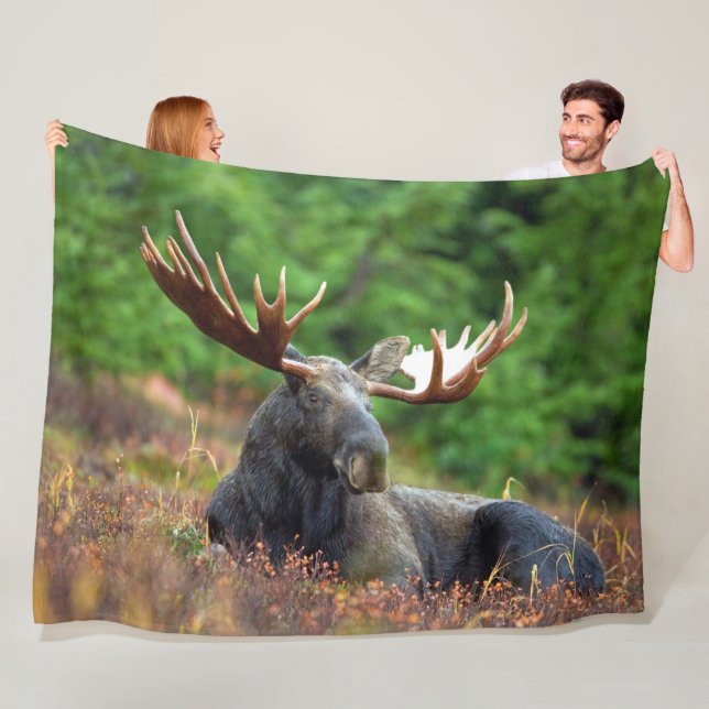 Moose Fleece Blanket (In Situ)