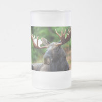 Moose