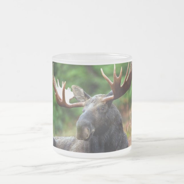 Moose Frosted Glass Coffee Mug (Center)