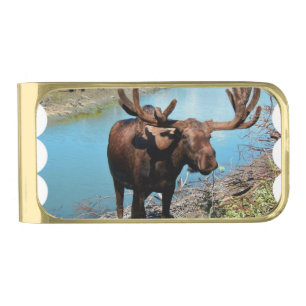 Moose Gold Finish Money Clip