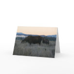 Moose Grazing at Sunrise at Grand Teton Card
