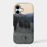 Moose Grazing at Sunrise at Grand Teton iPhone 17 Case