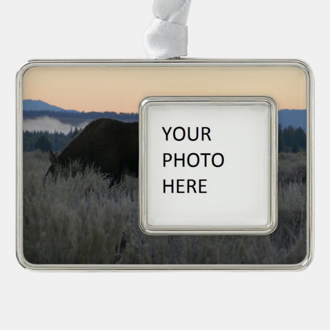 Moose Grazing at Sunrise at Grand Teton Christmas Ornament (Front)
