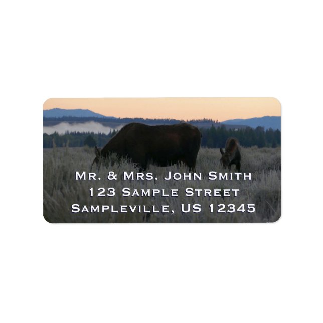 Moose Grazing at Sunrise at Grand Teton Label (Front)