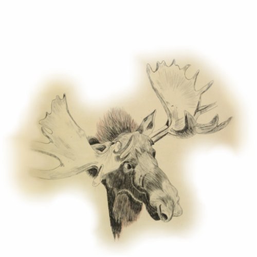 Moose Head Sketch Cutout