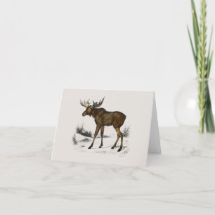 Moose Holiday Card