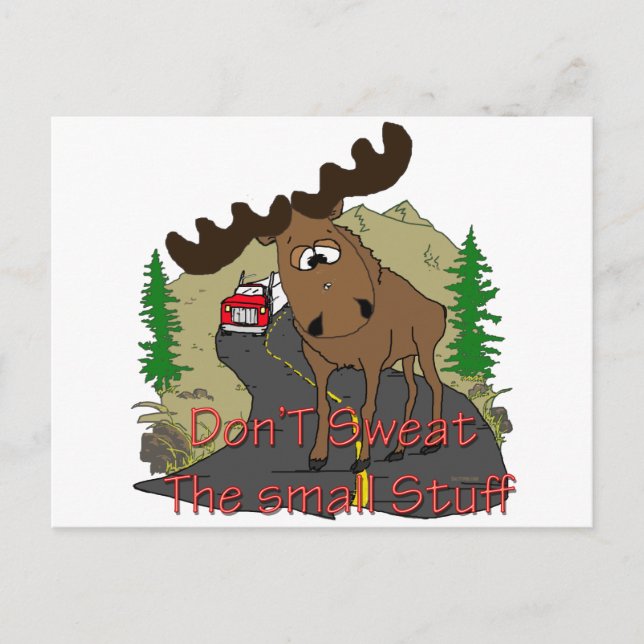 Moose humor postcard (Front)