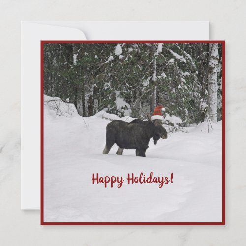 Moose in a Santa hat flat holiday card
