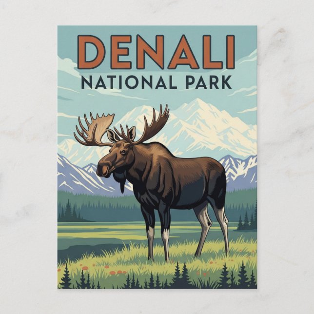 Moose in Denali National Park Alaska Vintage Postcard (Front)