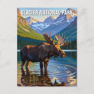 Moose in Glacier National Park Travel Postcard