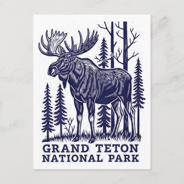 Moose in Grand Teton National Park Postcard (Front)