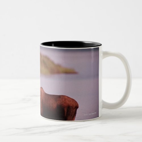 Moose in Lake Two_Tone Coffee Mug