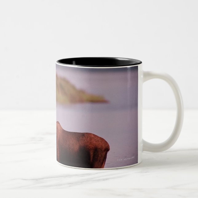 Moose in Lake Two-Tone Coffee Mug (Right)