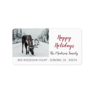 Moose Return Address Labels | Zazzle