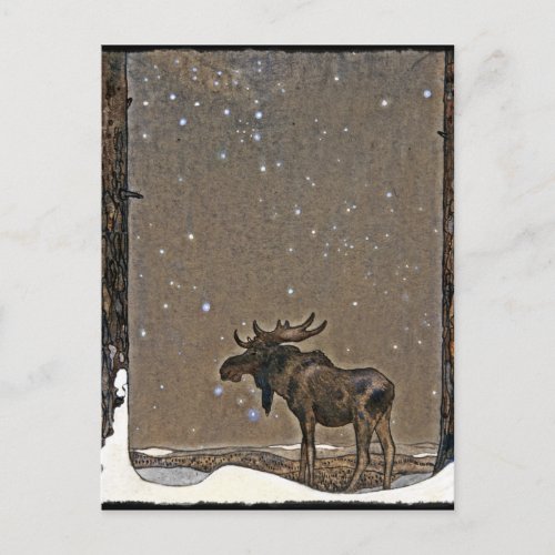 Moose in Snow Postcard