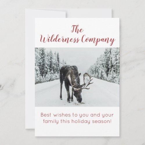 Moose In Snow Wilderness Comapny Or Organization Holiday Card