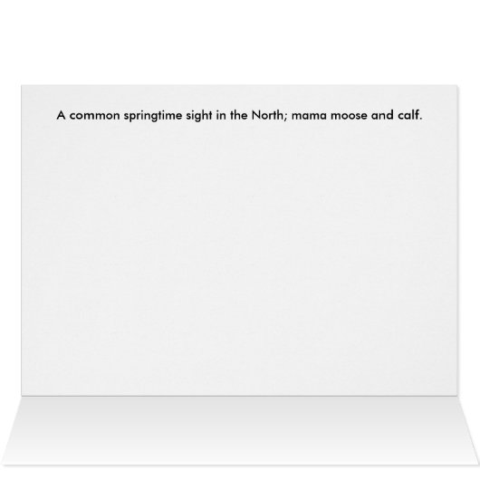 Moose In The Meadow (Inside Horizontal (Top))