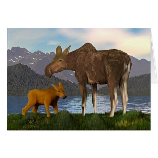 Moose In The Meadow Cards (Front Horizontal)