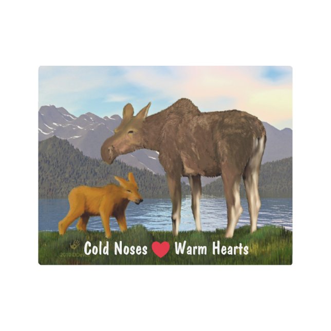Moose In The Meadow Metal Print (Front)
