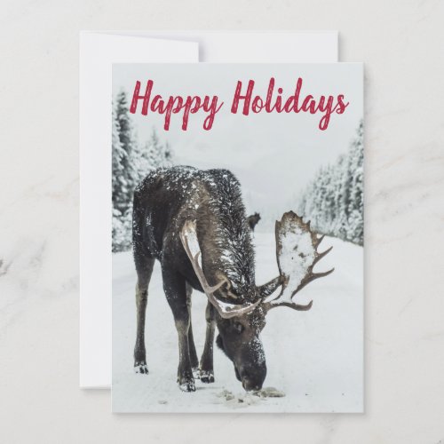 Moose In Wilderness Winter Snow Holiday Card