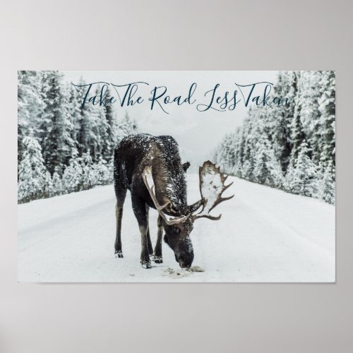 Moose In Winter On Road With Quote Poster