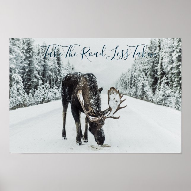 Moose In Winter On Road With Quote Poster (Front)