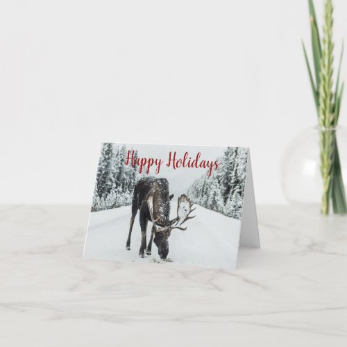 Moose In Winter Snow Christmas Holiday Card