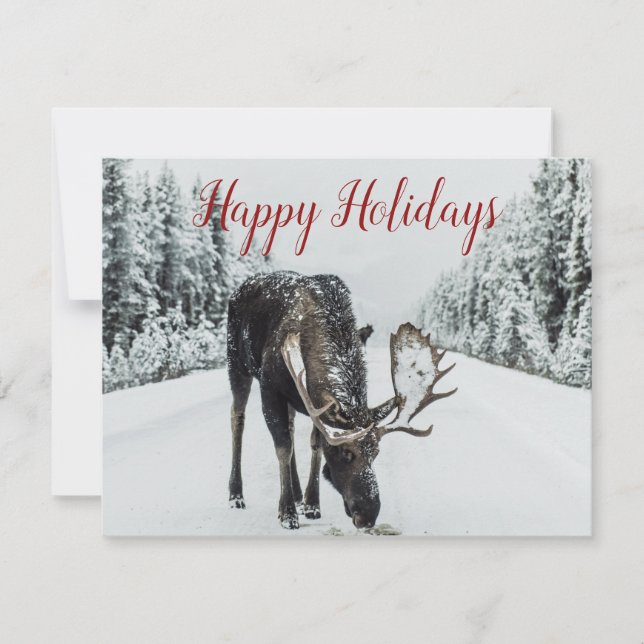 Moose In Winter Snow Christmas Holiday Card (Front)